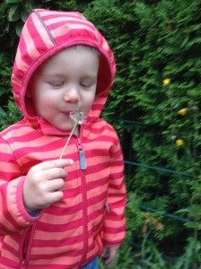 Slow down and enjoy life's simple pleaseures